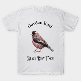 Garden Bird Black Rosy Finch T-Shirt